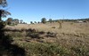 Lot 25, 327A Adelargo Road, Grenfell NSW