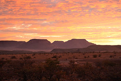 Sonnenaufgang Kalahari II