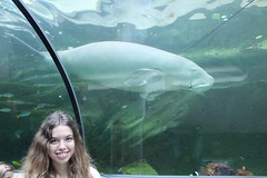 Sydney Aquarium and Wildlife