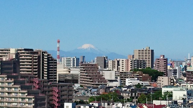 今日は空気が澄んでいて、富士山が良く見え...
