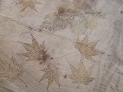 windfall leaves on wild silk
