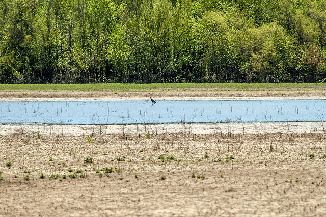 Oxbow - Mercer Pond - April 26, 2014