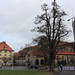 Wartburgstadt Eisenach. Freistaat Thüringen. Deutschland 11.02.2014 (9)