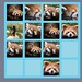 red panda 2048 • <a style="font-size:0.8em;" href="http://www.flickr.com/photos/129910232@N06/16206403539/" target="_blank">View on Flickr</a>