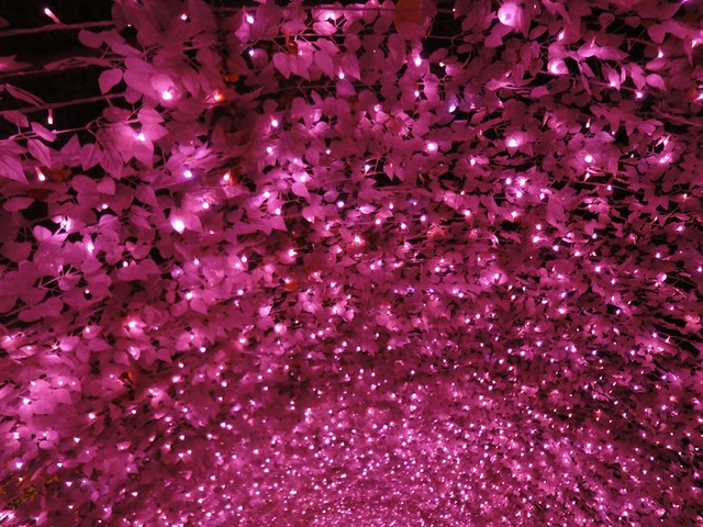帰りは、桜をイメージした花のトンネルを通って行きました。｜なばなの里