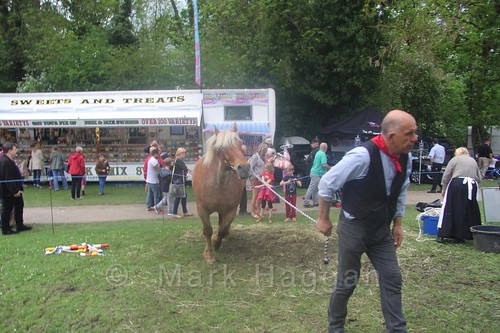 Shrek the horse goes for a walk at the Moira Canal Festival 2016