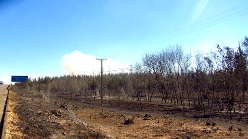 Incendio forestal entre Pidima y Ercilla 15/02/2015 (3)