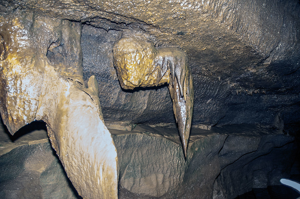 Bluespring Caverns | Bloomington Indiana | Tourism | Ecotour | Nature ...