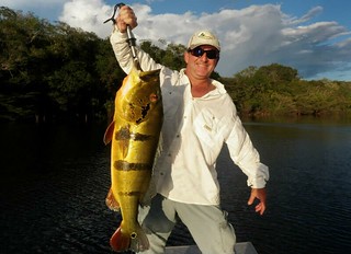 Brazil Peacock Bass Fishing 31