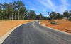 Lot 203 Wedgetail Drive, Lakewood NSW