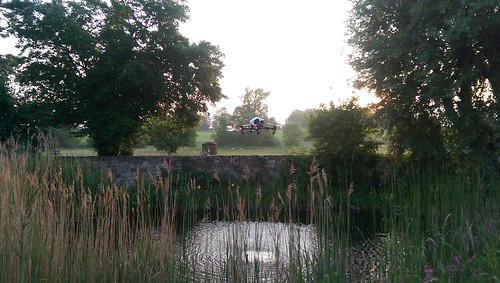 Drohne überm Teich im Park