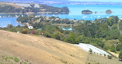 Waiheke Island Harbor and Vineyard • <a style="font-size:0.8em;" href="http://www.flickr.com/photos/34335049@N04/13939593308/" target="_blank">View on Flickr</a>