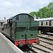 Steam Train 5619 On The Bodmin & Wenford Railway - Cornwall (1).