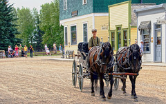 Anglų lietuvių žodynas. Žodis horse-drawn vehicle reiškia arklių traukiamomis transporto priemonės lietuviškai.
