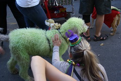 Krewe of Barkus Parade, French Quarter, New Orleans, Louisiana, February 8, 2015