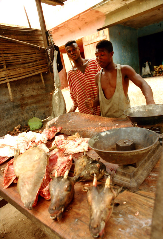 Togo West Africa Street Market Palimé formerly known as Kpalimé is a city in Plateaux Region Togo near the Ghanaian border 23 April 1999 075 Goat Head<br/>© <a href="https://flickr.com/people/41087279@N00" target="_blank" rel="nofollow">41087279@N00</a> (<a href="https://flickr.com/photo.gne?id=13946478994" target="_blank" rel="nofollow">Flickr</a>)