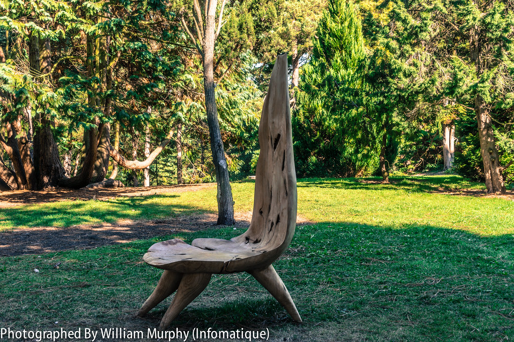 The Flowering Chair By Eoin Byrne And Michael Kelly - Sculpture In Context 2013 In The Botanic Gardens