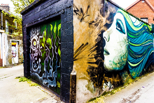 STREET ART IN DUBLIN - CABRA PARK URBAN GALLERY