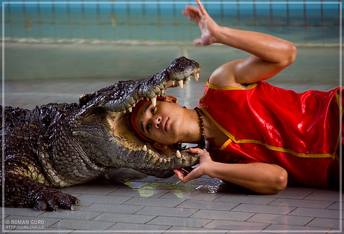 На крокодиловой ферме | Thailand