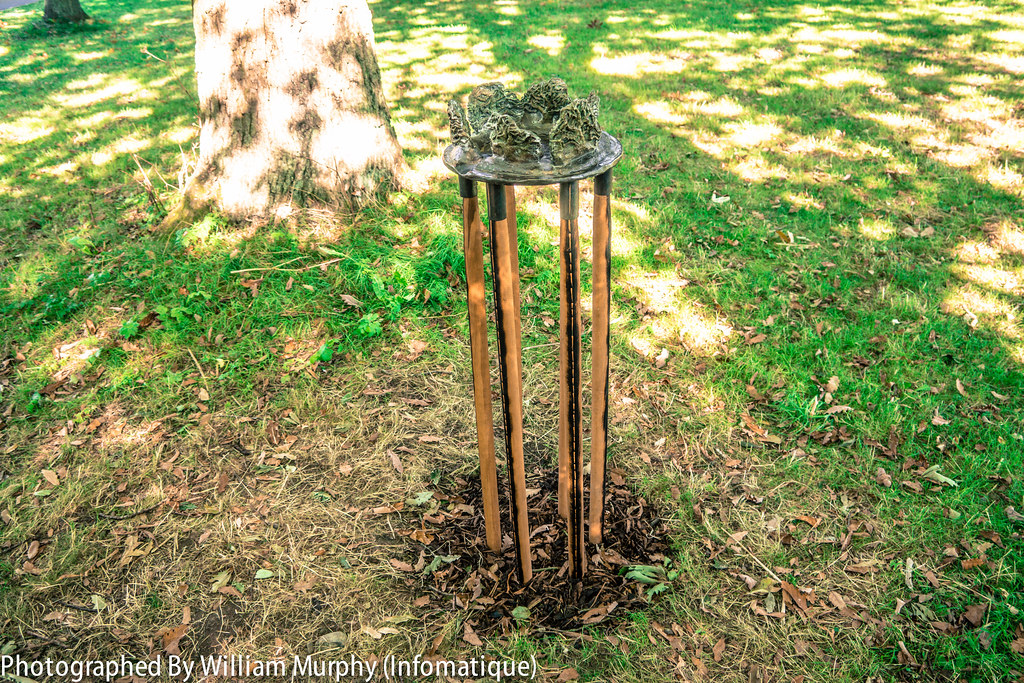 Sculpture In Context 2013 In The Botanic Gardens - Oak Grove By  Sue Halliday