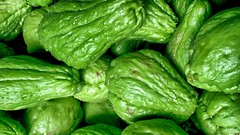 Anglų lietuvių žodynas. Žodis raw vegetable reiškia žalias daržovių lietuviškai.