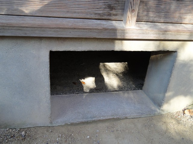 軒下の穴があいている場所にドングリを発見！　ま、まさか、こ。｜サツキとメイの家