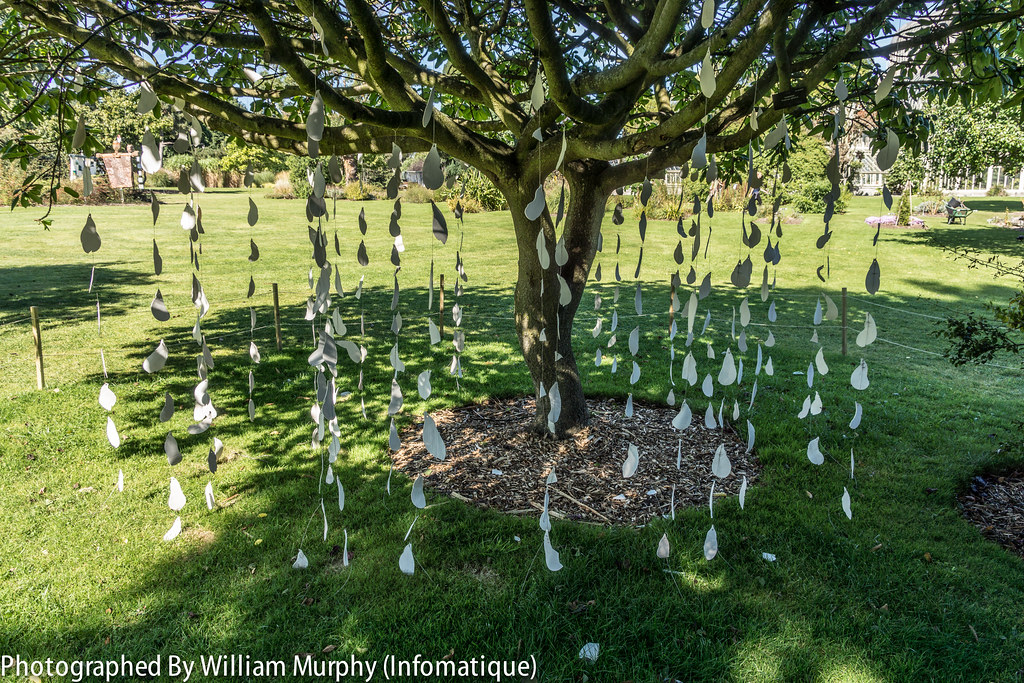 Sculpture In Context 2013 In The Botanic Gardens - A Thousand  Feathers By Karolina Grudniewska