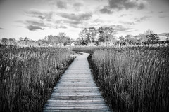 Cosmeston Lakes • <a style="font-size:0.8em;" href="http://www.flickr.com/photos/32236014@N07/15823255194/" target="_blank">View on Flickr</a>