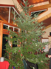 22 foot Christmas tree