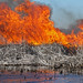 Prescribed burn of dead cattail in Cochran’s Pass in Lake Okeechobee by our partners at the South Florida Water Management District Jan. 28, 2015
