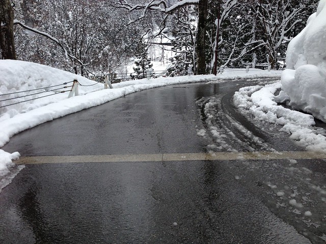 一応、今朝の坂道画像です。昨晩の大雪でも...