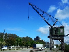 The crane