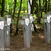 Cmentarz w Ościsłowie (24) • <a style="font-size:0.8em;" href="http://www.flickr.com/photos/115791104@N04/13982994325/" target="_blank">View on Flickr</a>