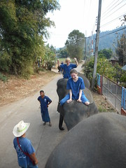 Paulinka - Thai Elephant Home