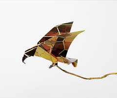 Origami création - Didier Boursin - Aigle