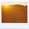 Freshly sown field in sunset (Polaroid Image-Spectra)
