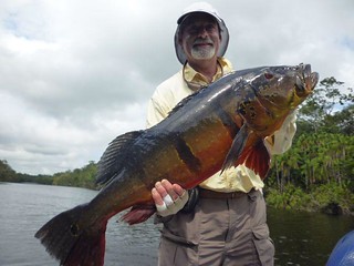 Brazil Peacock Bass Fishing 34