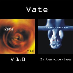 V1.0 + Intercortes