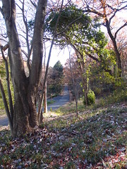 Toritsu Sayama Natural Park