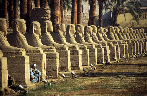 Ägypten 1999 (243) Tempel von Luxor: Sphingen-Allee • <a style="font-size:0.8em;" href="http://www.flickr.com/photos/69570948@N04/28244961825/" target="_blank">Auf Flickr ansehen</a>