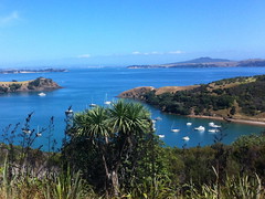 Waiheke Harbor • <a style="font-size:0.8em;" href="http://www.flickr.com/photos/34335049@N04/13939593918/" target="_blank">View on Flickr</a>