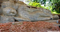 Budas de Polonnaruwa • <a style="font-size:0.8em;" href="http://www.flickr.com/photos/92957341@N07/9164266145/" target="_blank">View on Flickr</a>