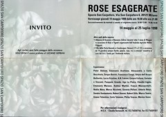 1998-ROSE ESAGERATE- SPAZIO SAN CARPOFORO