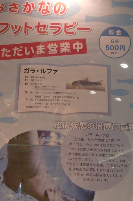 アクアスタジアムでショーを見た後、外にでると、このポスター。｜横浜・八景島シーパラダイス