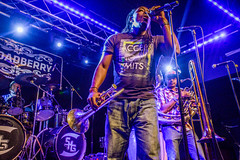 Stooges Brass Band at the Broadberry, Richmond, VA, February 10, 2015