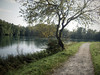 Parco Adda Nord • <a style="font-size:0.8em;" href="http://www.flickr.com/photos/49429265@N05/10510454214/" target="_blank">View on Flickr</a>