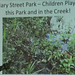 Mary Street Park -- Children Play in this Park and in the Creek!