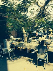 Coffee Roasting & Brewing Talent in Miami at Panther Coffee