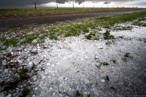 Hail Galore Con't • <a style="font-size:0.8em;" href="http://www.flickr.com/photos/65051383@N05/13726821353/" target="_blank">View on Flickr</a>