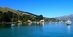 Adventure Travel in Akaroa New Zealand: Wine, dine, & sail • <a style="font-size:0.8em;" href="http://www.flickr.com/photos/34335049@N04/14133409724/" target="_blank">View on Flickr</a>